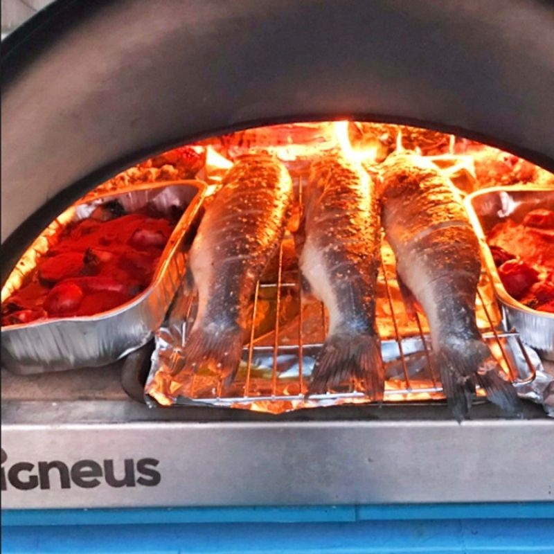 peste gatit in cuptor pe lemne igneus